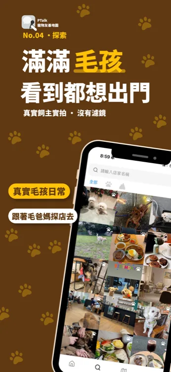 PTalk 寵物友善地圖探索頁,以宮格瀏覽多張真實飼主拍攝的毛孩出遊與店家實景照片